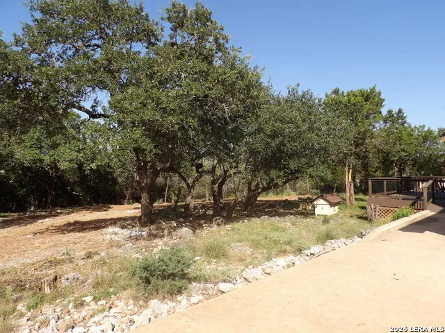 204 FALLING HLS New Braunfels, TX 78132