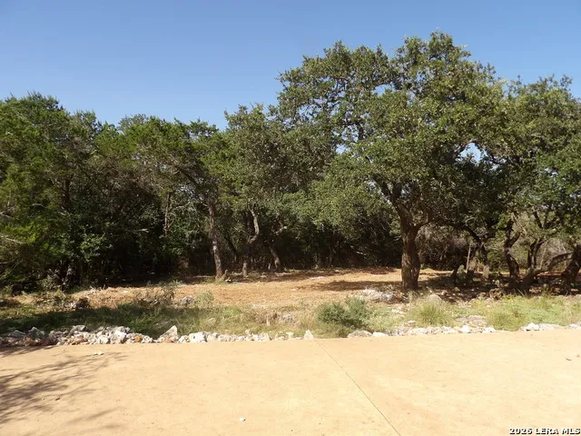 204 FALLING HLS New Braunfels, TX 78132