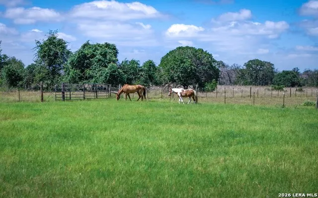 247 S Palo Alto Dr Floresville, TX 78114