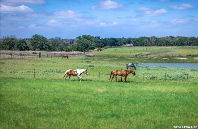 247 S Palo Alto Dr Floresville, TX 78114