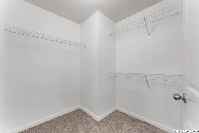 6326 Aster Run New Braunfels, TX 78132