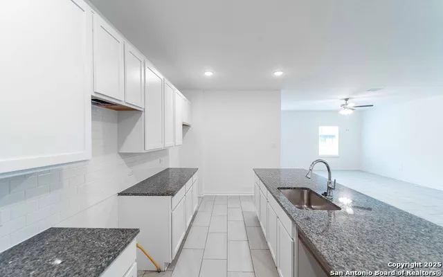 8920 Grey Elm Elmendorf, TX 78112