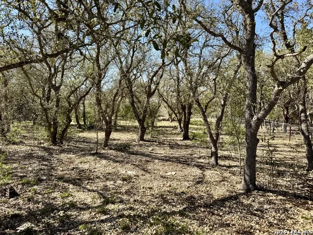 1351 Heritage HL Canyon Lake, TX 78133
