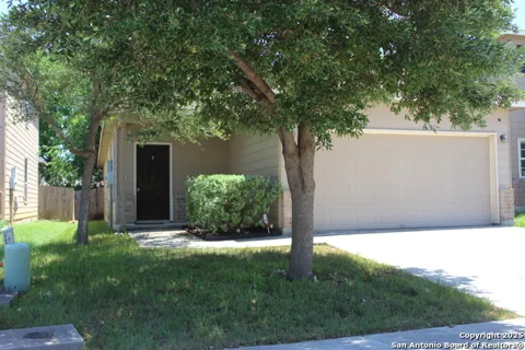 482 Walnut