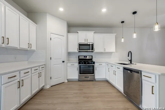 15115 Escalante Pass Von Ormy, TX 78073