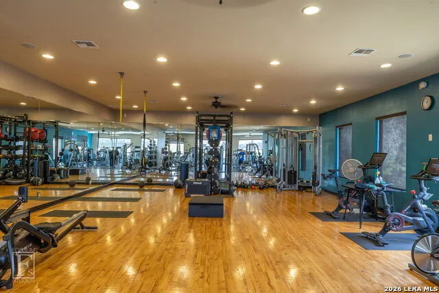 2447 Wallaby Circle New Braunfels, TX 78132
