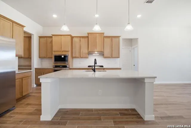 286 Firewheel Loop Floresville, TX 78114