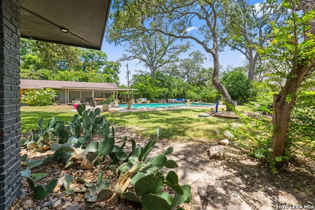 100 DOGWOOD LN San Antonio, TX 78213