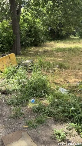 718 Green San Antonio, TX 78225