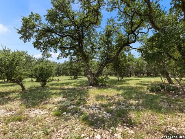 32746 Stahl Lane Bulverde, TX 78163