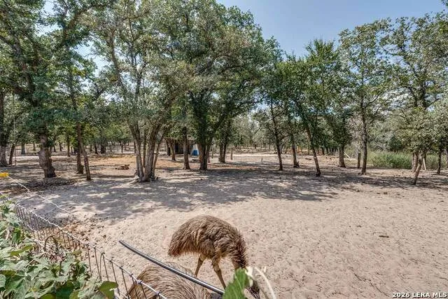 200 Oak Hollow Drive La Vernia, TX 78121