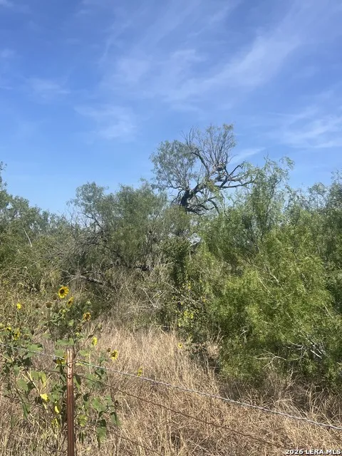 TBD Corgey Rd Pleasanton, TX 78064