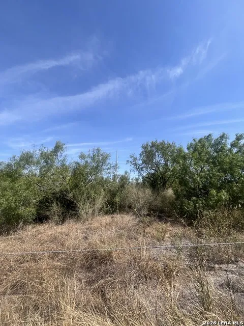 TBD Corgey Rd Pleasanton, TX 78064