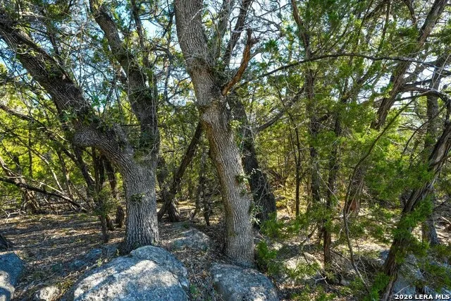 1515 Old Boerne Rd Bulverde, TX 78163