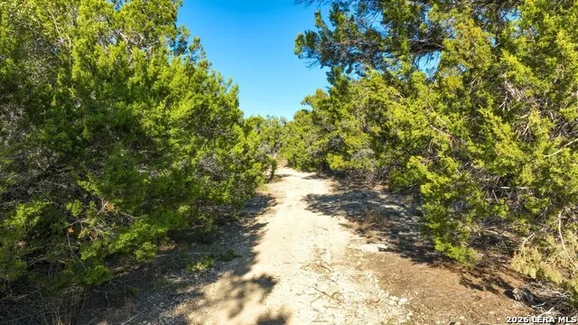 1515 Old Boerne Rd Bulverde, TX 78163