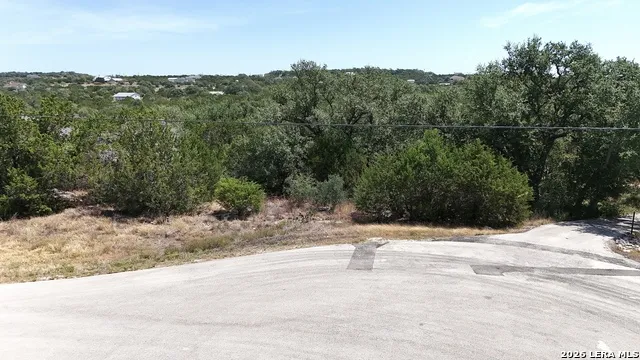 527 ROSINWEED DR Spring Branch, TX 78070