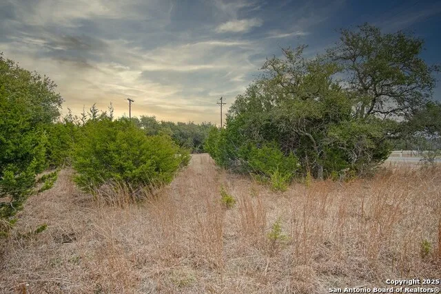 1055 Cielo Springs Dr. Blanco, TX 78606