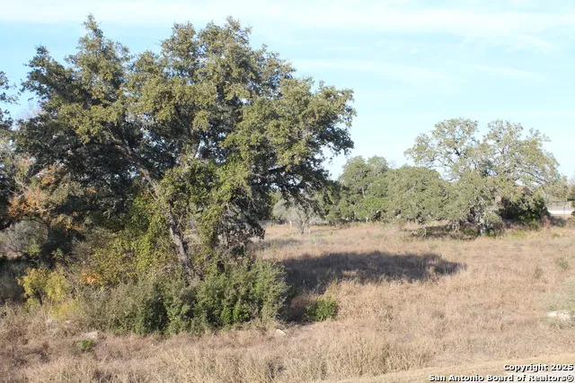 576 Private Road 3702 San Antonio, TX 78253