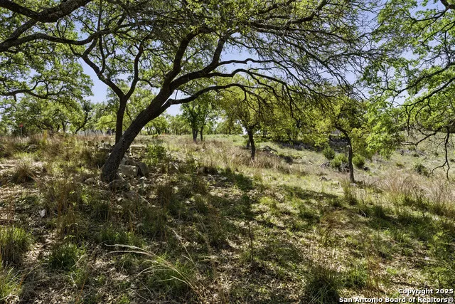 2480 BELLA VIS Canyon Lake, TX 78133