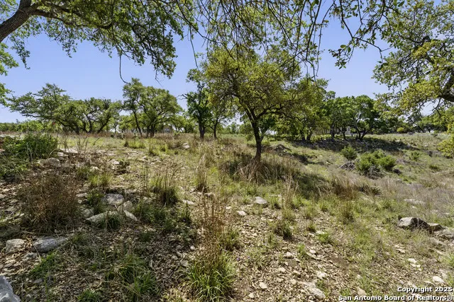 2480 BELLA VIS Canyon Lake, TX 78133