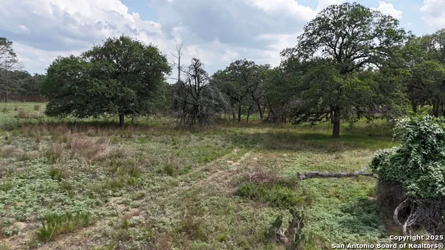 1228 Morning Glory Ln Adkins, TX 78101