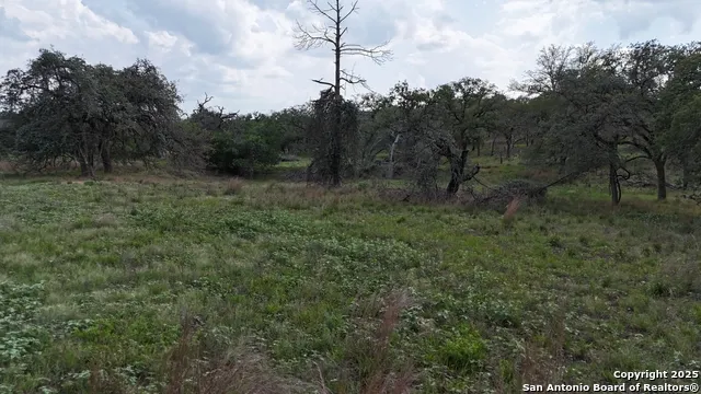1228 Morning Glory Ln Adkins, TX 78101