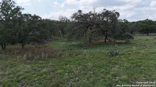 1228 Morning Glory Ln Adkins, TX 78101