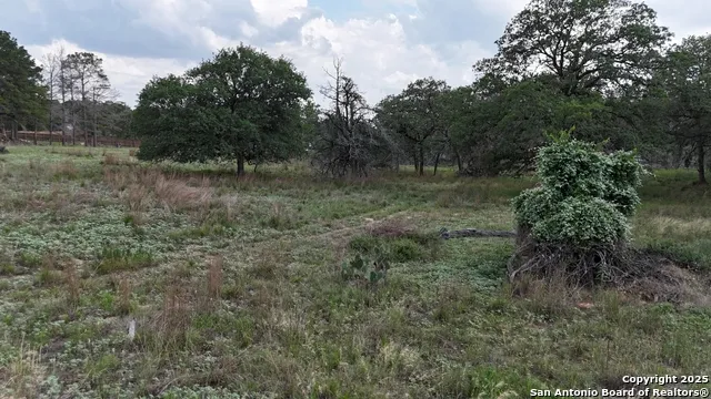 1228 Morning Glory Ln Adkins, TX 78101