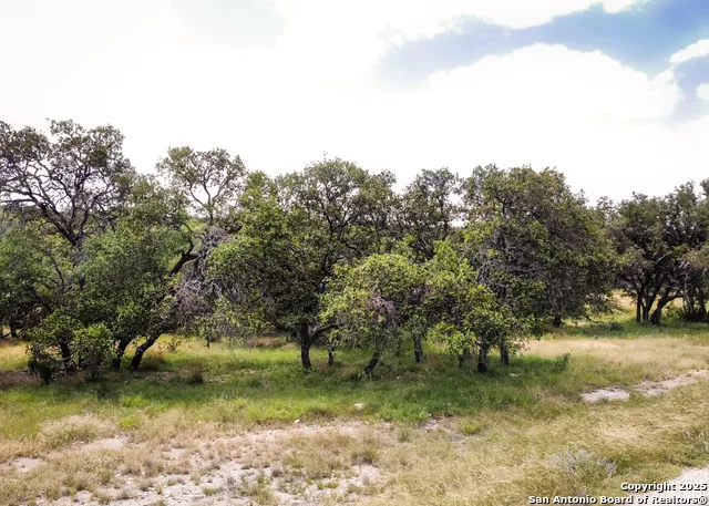 1303 Taurus Lane Junction, TX 76849