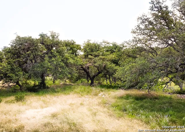 1303 Taurus Lane Junction, TX 76849