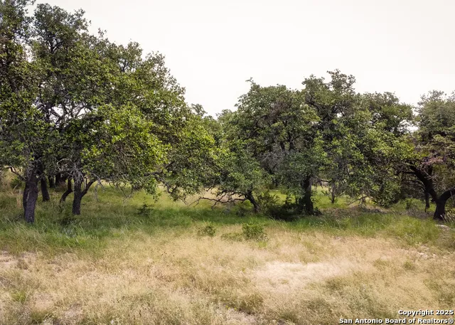 1303 Taurus Lane Junction, TX 76849