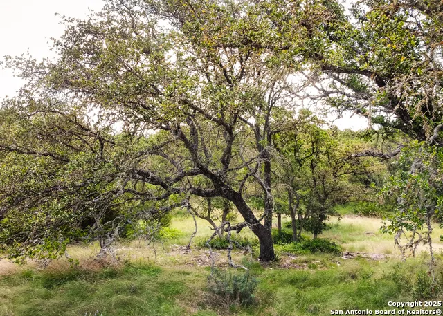 1303 Taurus Lane Junction, TX 76849
