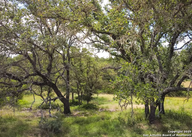 1303 Taurus Lane Junction, TX 76849
