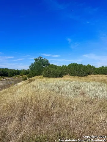 109 Liberty Bell Fischer, TX 78623