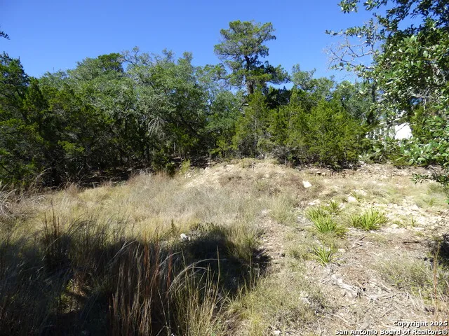 198 Magnolia Meadow Canyon Lake, TX 78133