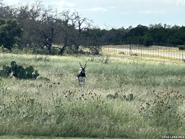 78 Firsching Kerrville, TX 78028