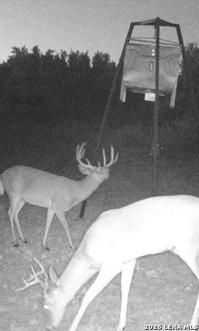 13217 Turner Rd Junction, TX 76849