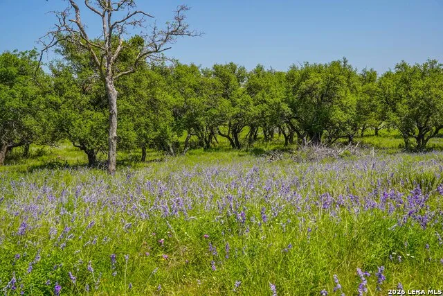 13217 Turner Rd Junction, TX 76849