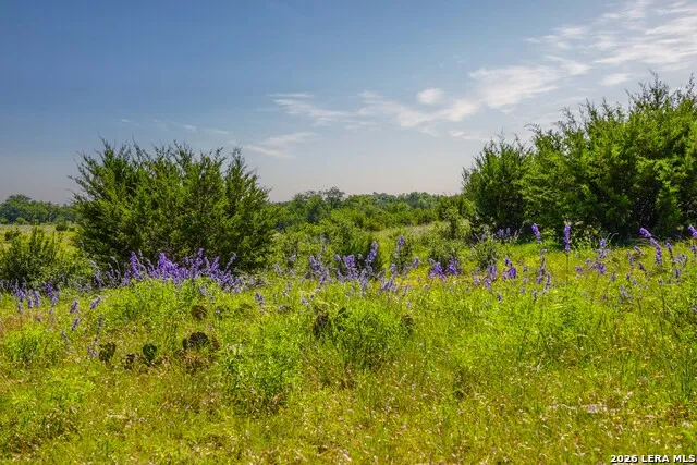 13217 Turner Rd Junction, TX 76849