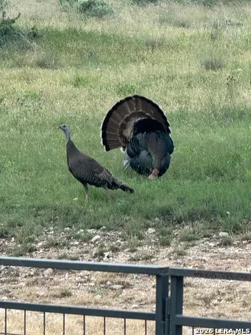 13217 Turner Rd Junction, TX 76849