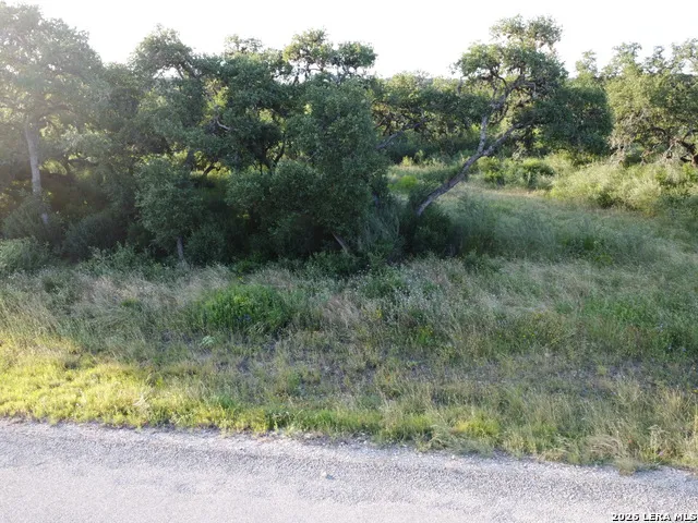 181 Grand Oaks Hondo, TX 78861