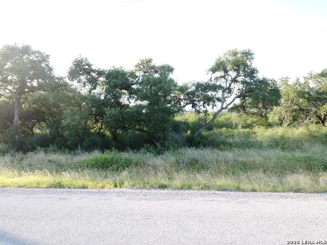181 Grand Oaks Hondo, TX 78861