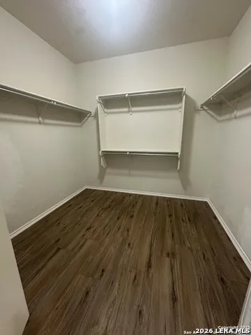 10811 Yaupon Holly Helotes, TX 78023