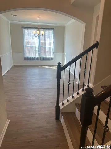 10811 Yaupon Holly Helotes, TX 78023