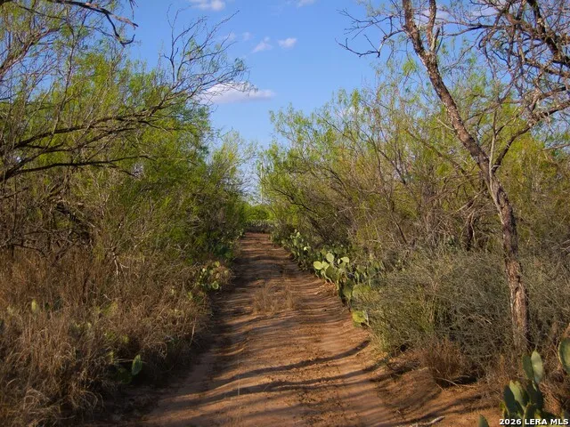 TBD FM 186 Carrizo Springs, TX 78834