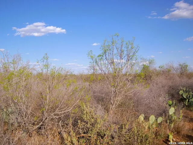 TBD FM 186 Carrizo Springs, TX 78834
