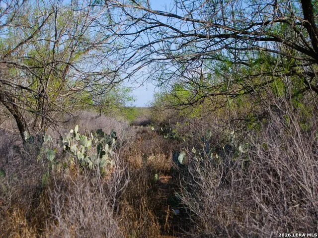 TBD FM 186 Carrizo Springs, TX 78834