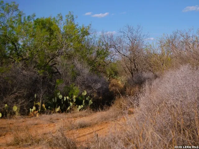 TBD FM 186 Carrizo Springs, TX 78834