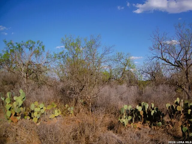 TBD FM 186 Carrizo Springs, TX 78834