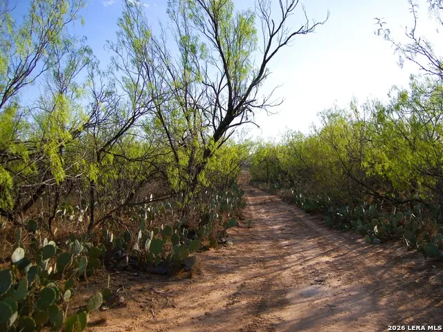 TBD FM 186 Carrizo Springs, TX 78834